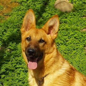 Meet your Posher, Kelley